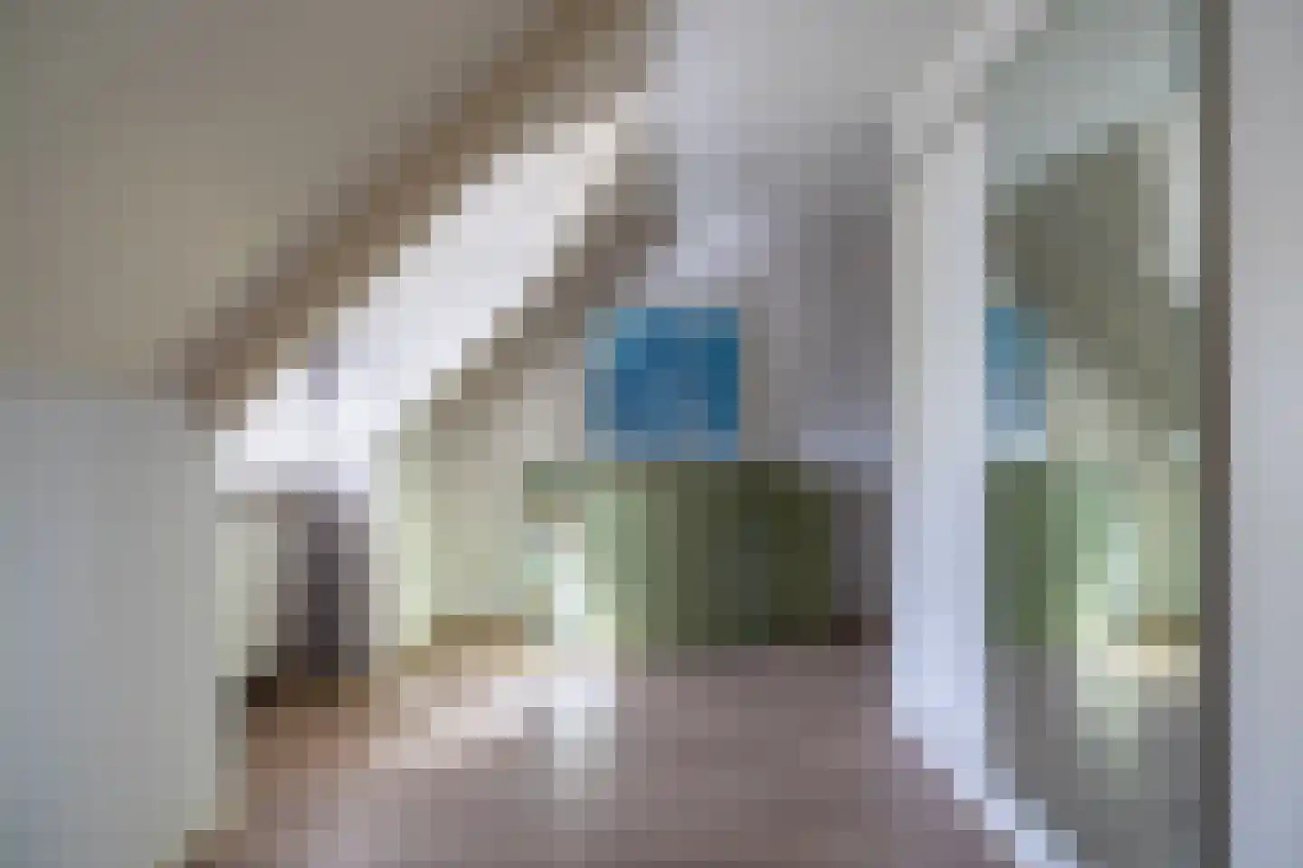 Begijnenstraat 9 Doetinchem thumbnail 79