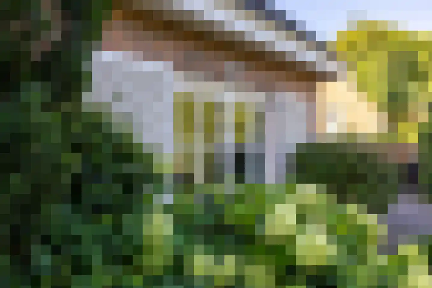 Begijnenstraat 9 Doetinchem thumbnail 81