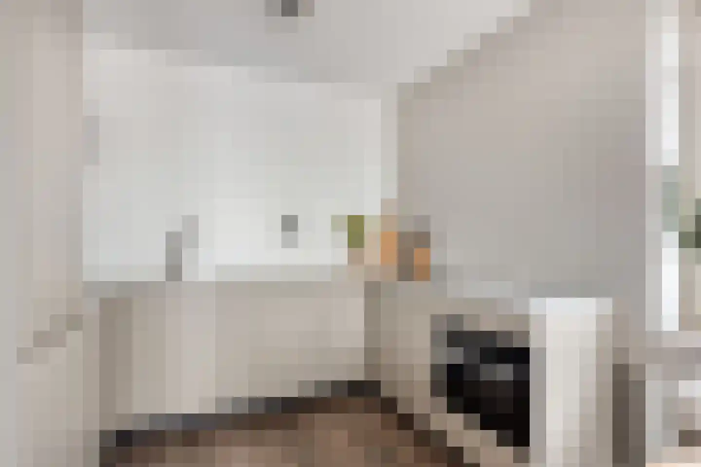Begijnenweide 112 Heemskerk thumbnail 15