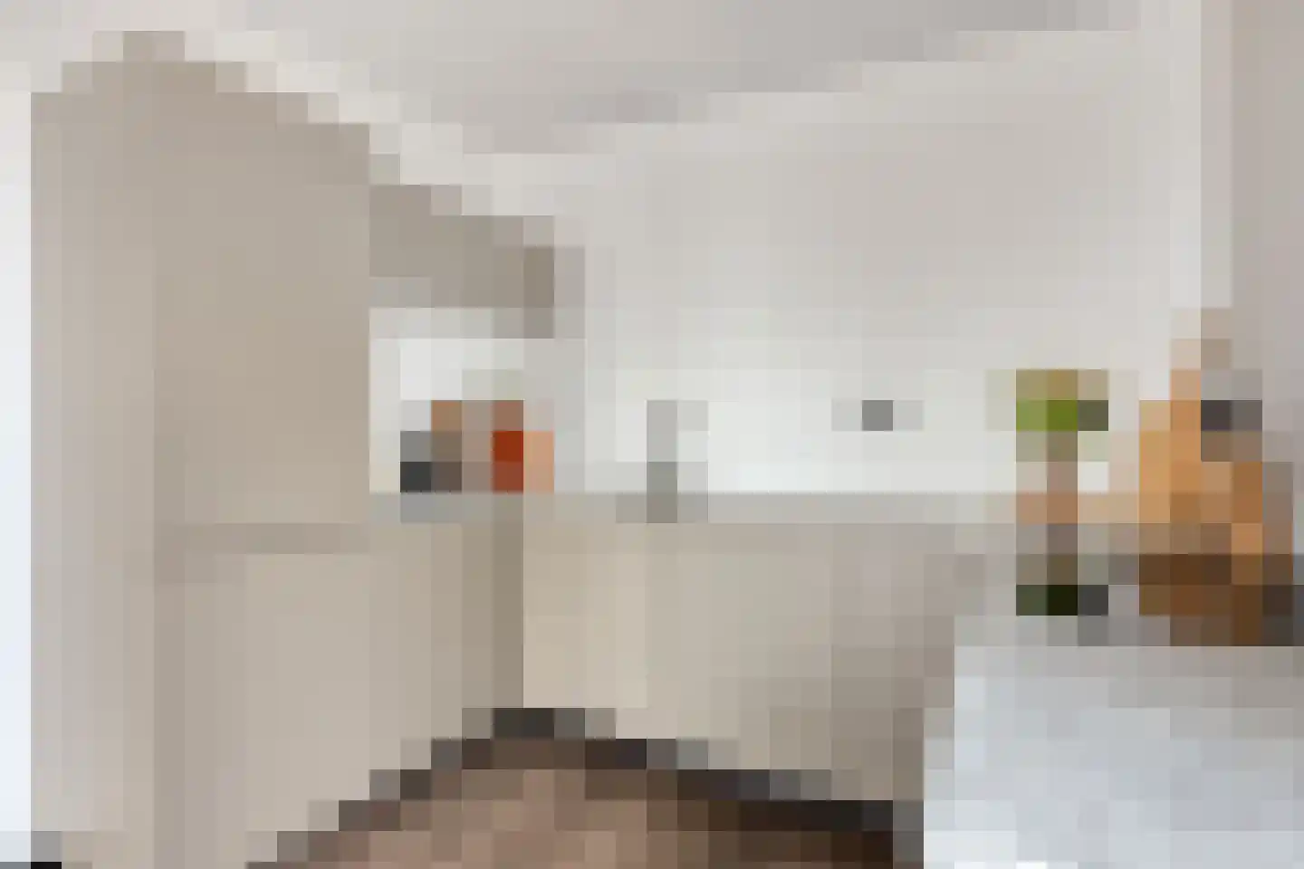 Begijnenweide 112 Heemskerk thumbnail 16