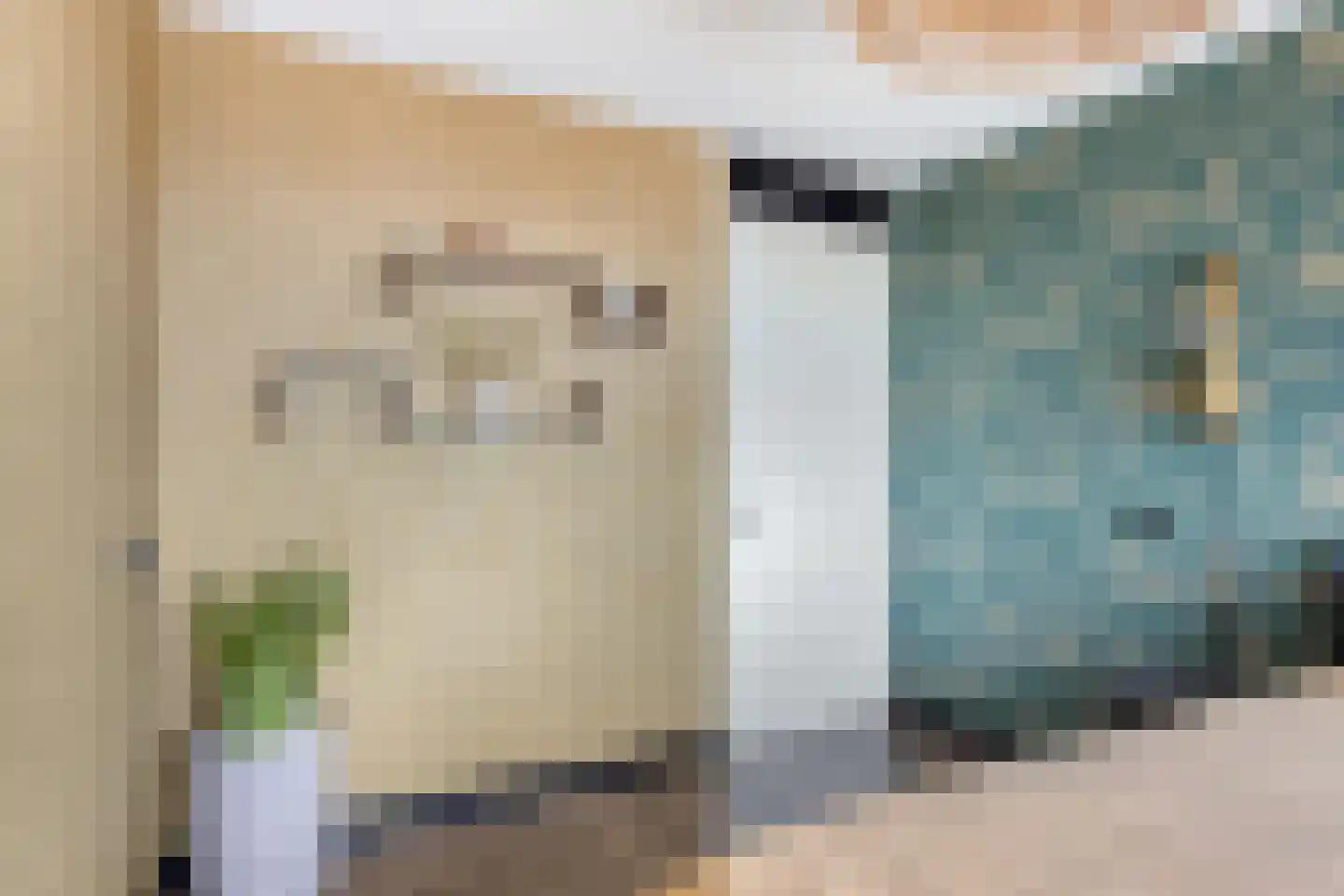 Begijnenweide 112 Heemskerk thumbnail 19