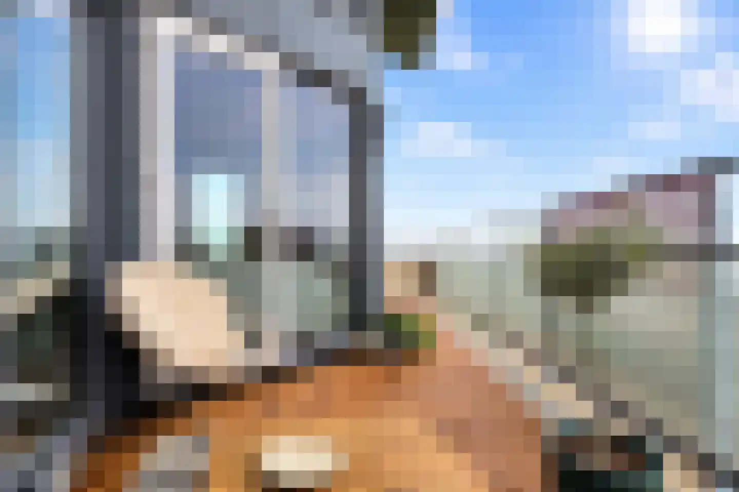 Begijnenweide 112 Heemskerk thumbnail 26
