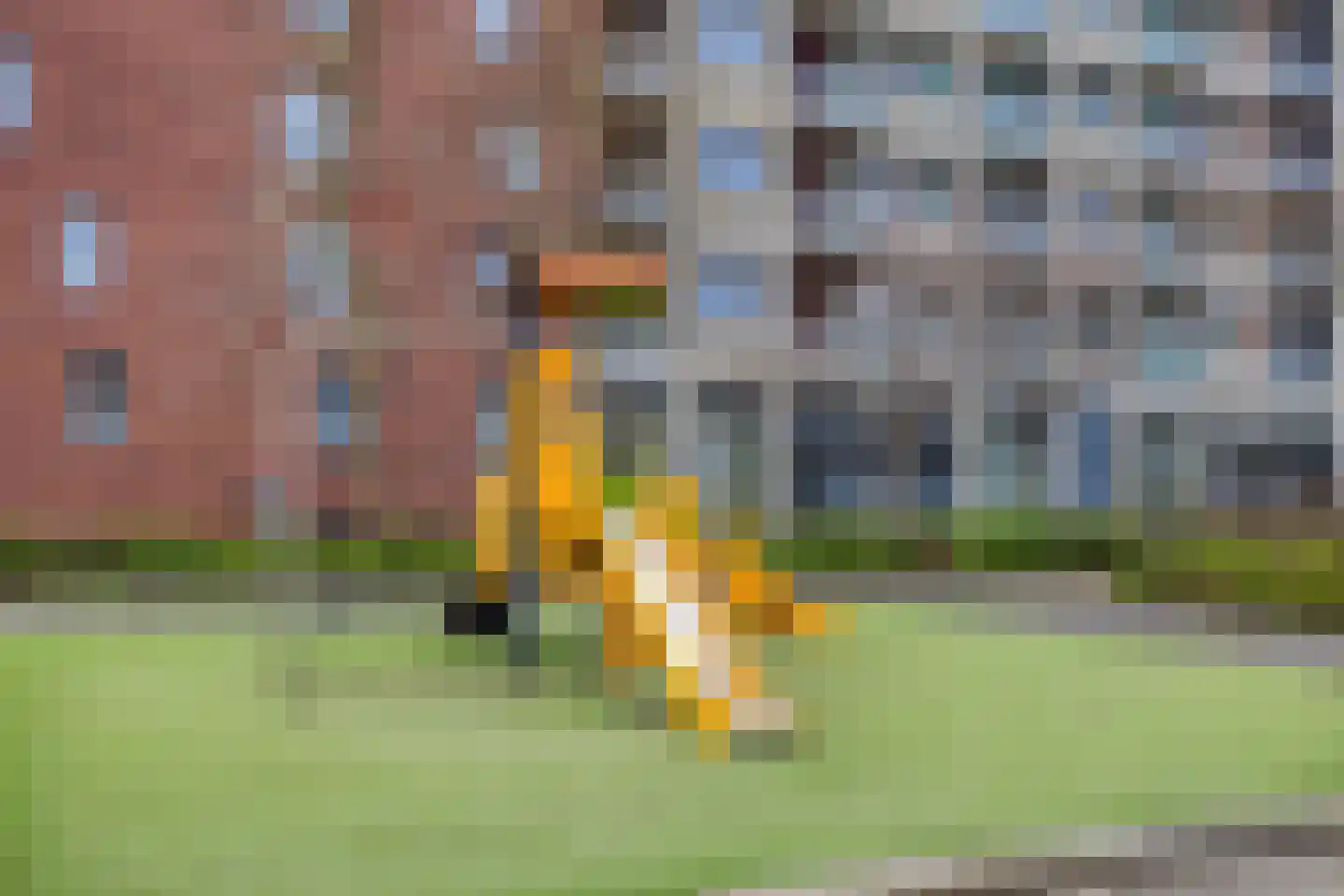 Begijnenweide 112 Heemskerk thumbnail 37