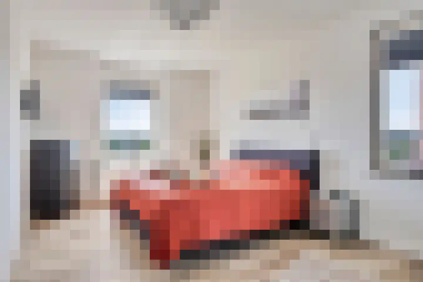 Begijnenweide 114 Heemskerk thumbnail 15