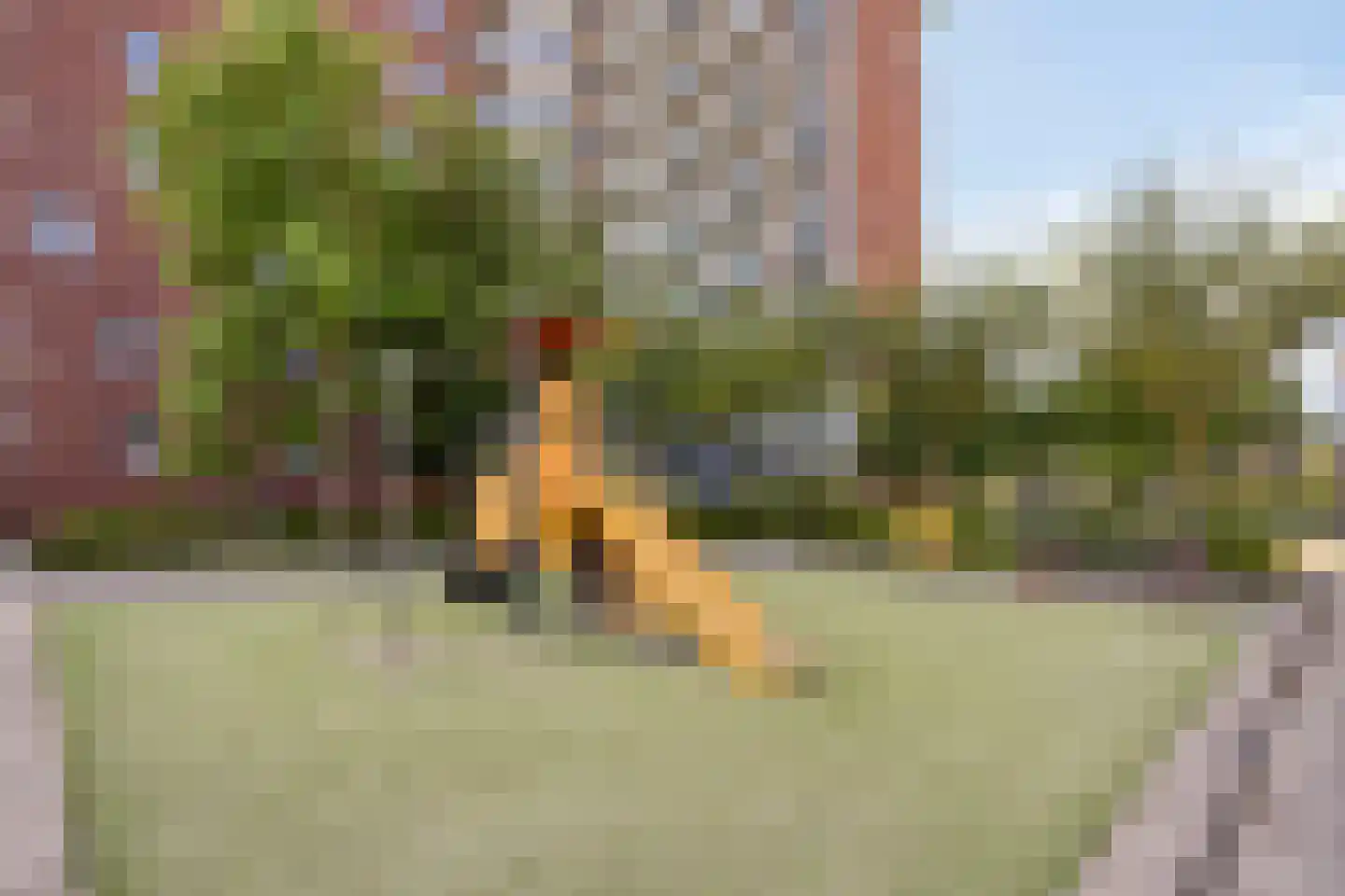 Begijnenweide 114 Heemskerk thumbnail 28
