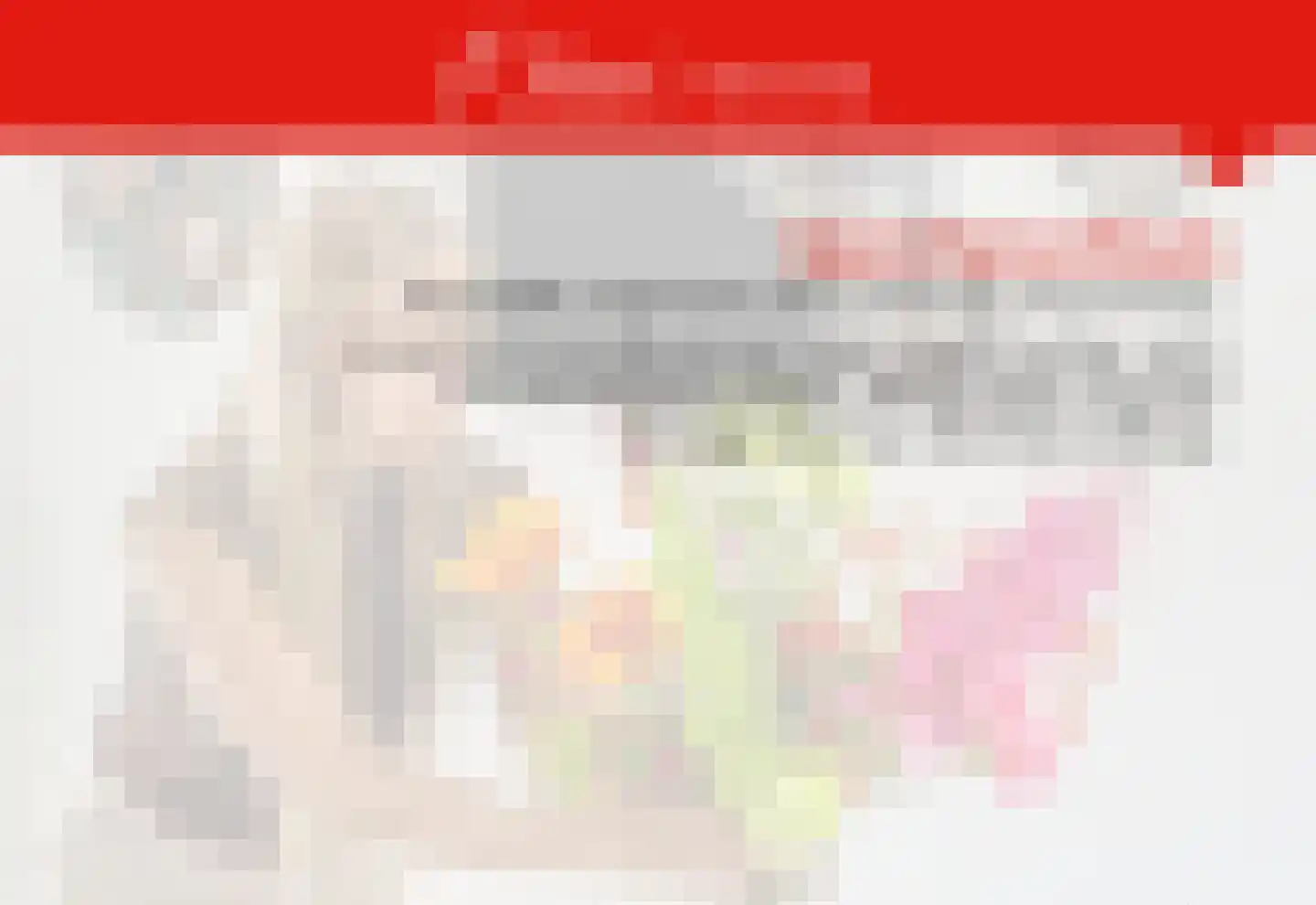 Begijnenweide 114 Heemskerk thumbnail 6