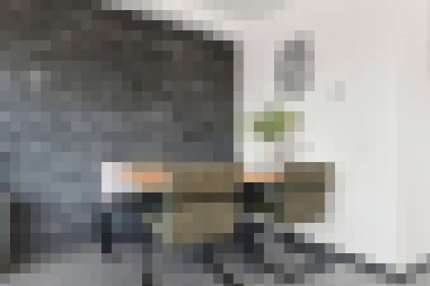 Begijnenweide 126 Heemskerk thumbnail 10