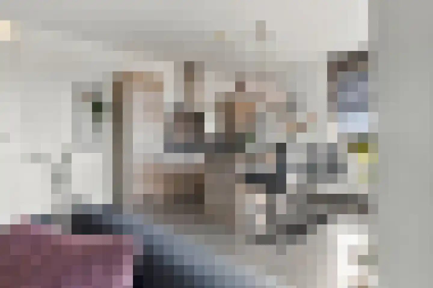 Begijnenweide 126 Heemskerk thumbnail 12
