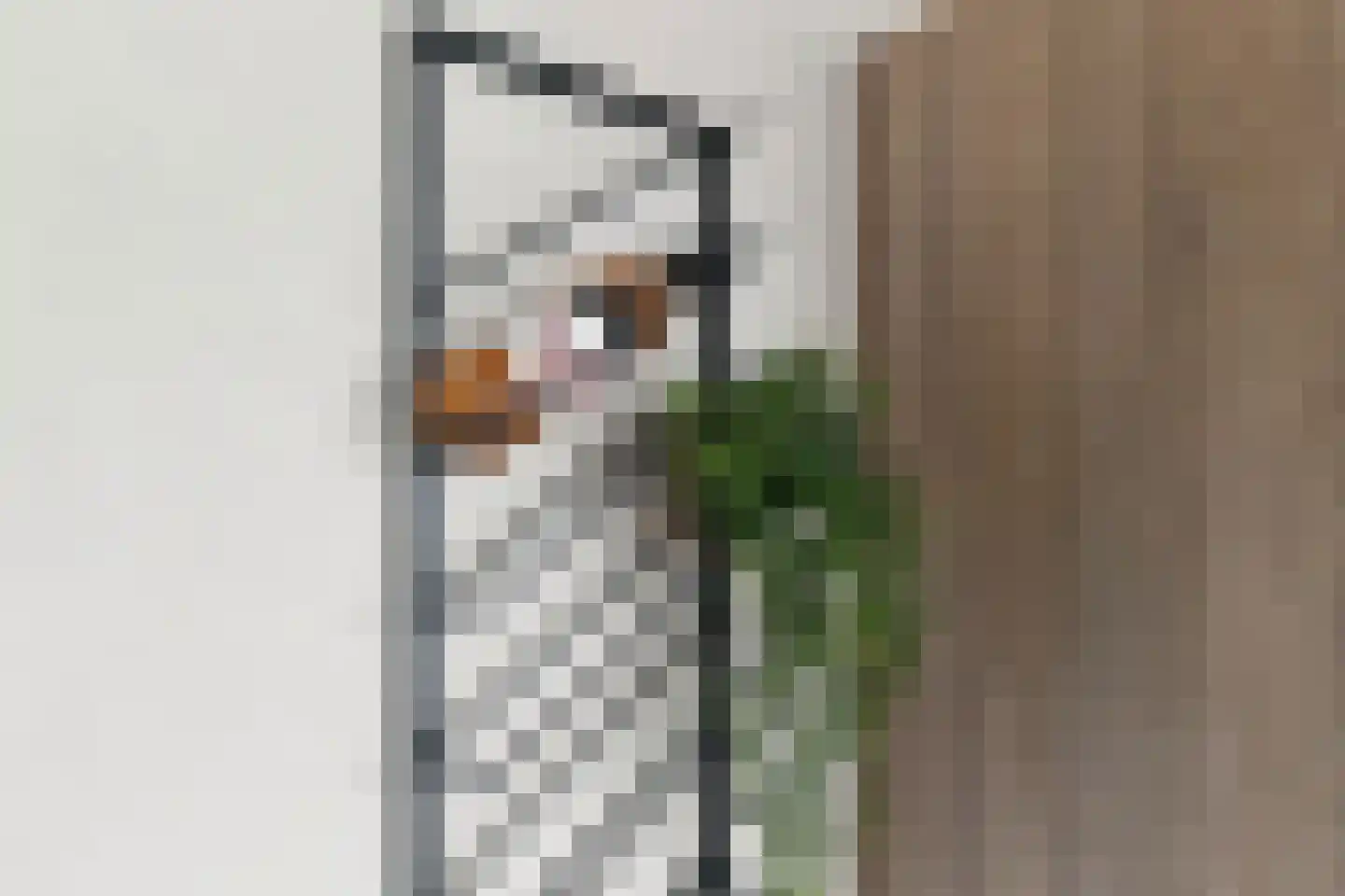 Begijnenweide 126 Heemskerk thumbnail 15
