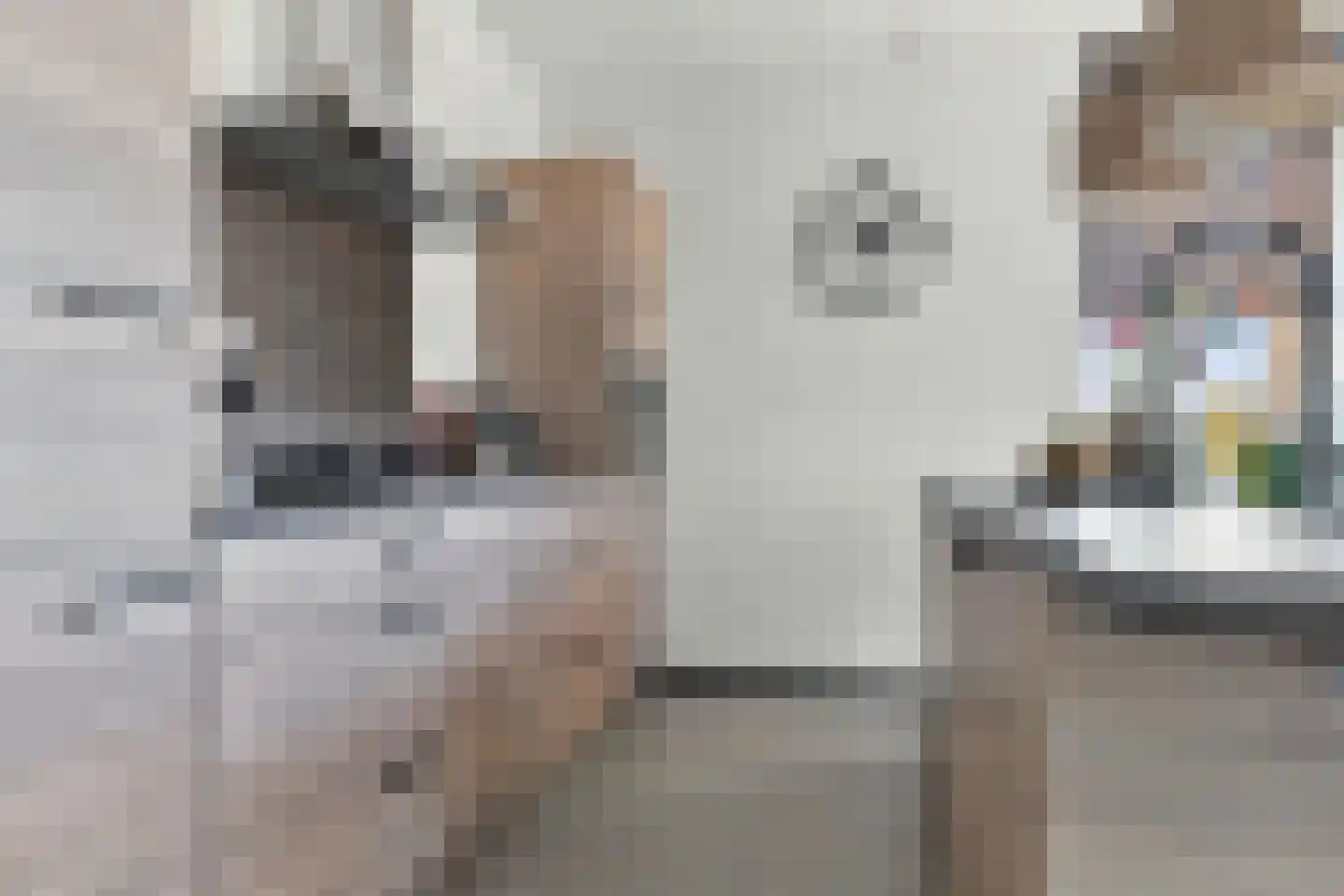 Begijnenweide 126 Heemskerk thumbnail 16