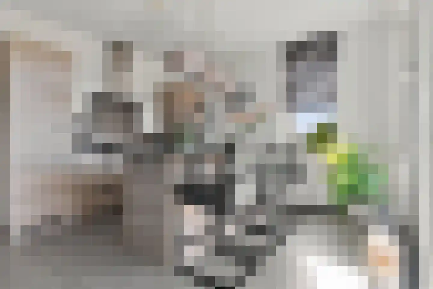 Begijnenweide 126 Heemskerk thumbnail 20