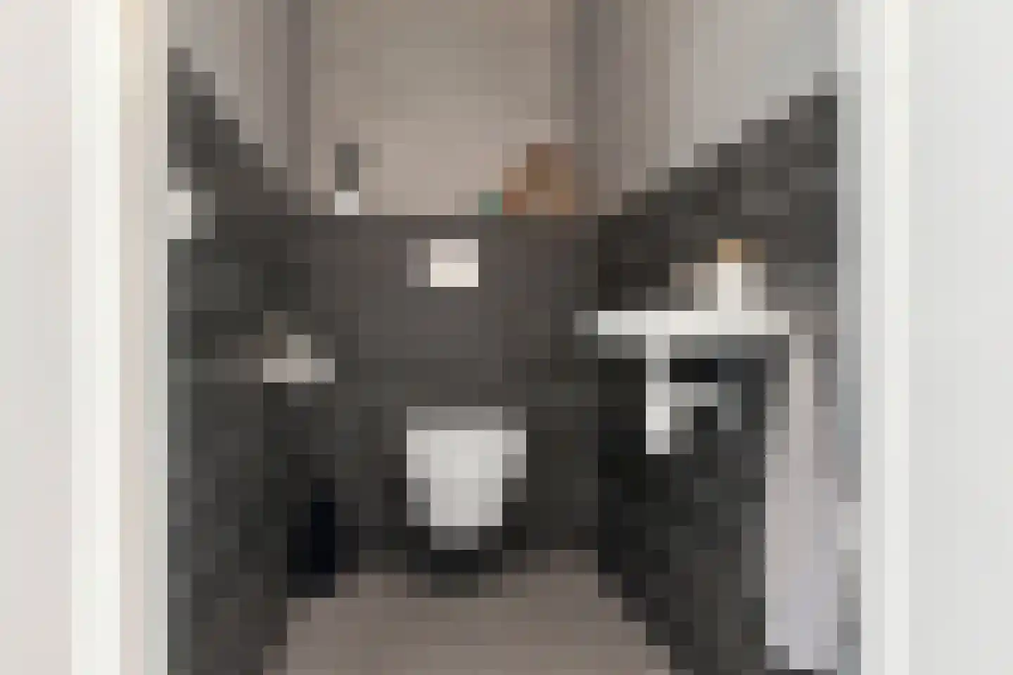 Begijnenweide 126 Heemskerk thumbnail 25