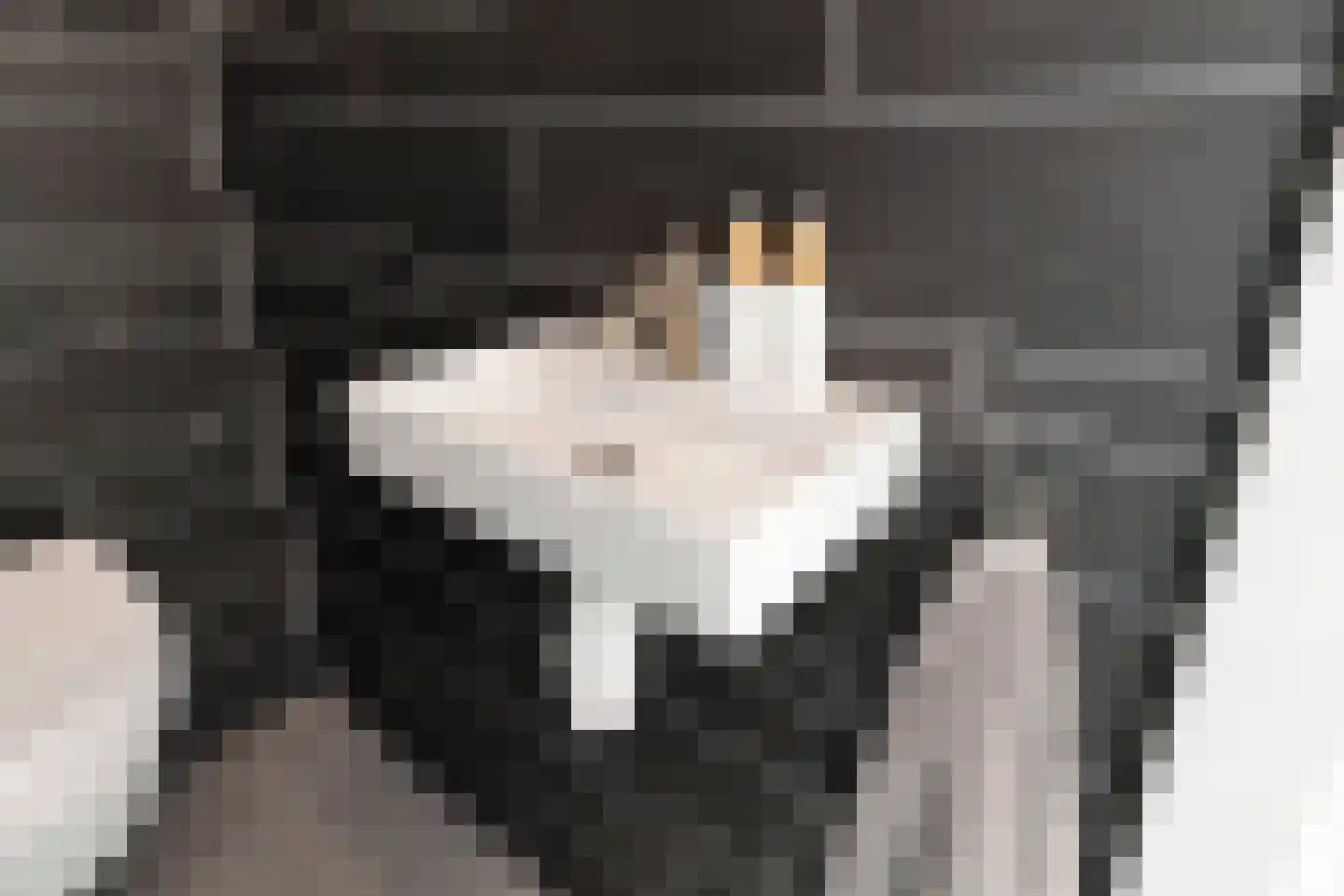 Begijnenweide 126 Heemskerk thumbnail 26