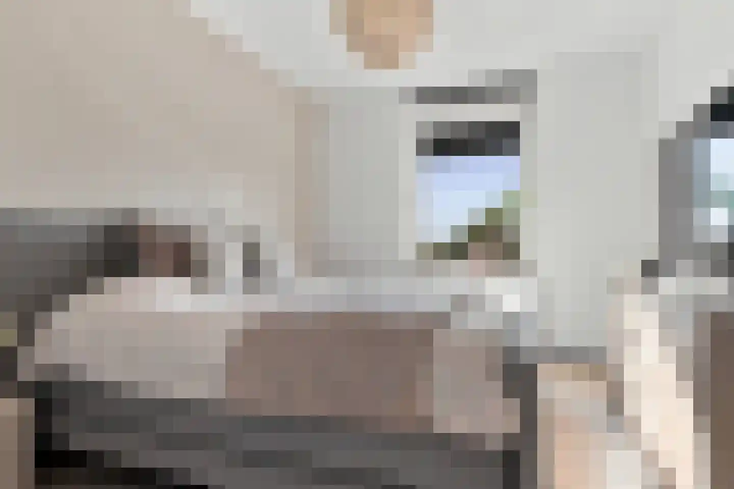 Begijnenweide 126 Heemskerk thumbnail 27