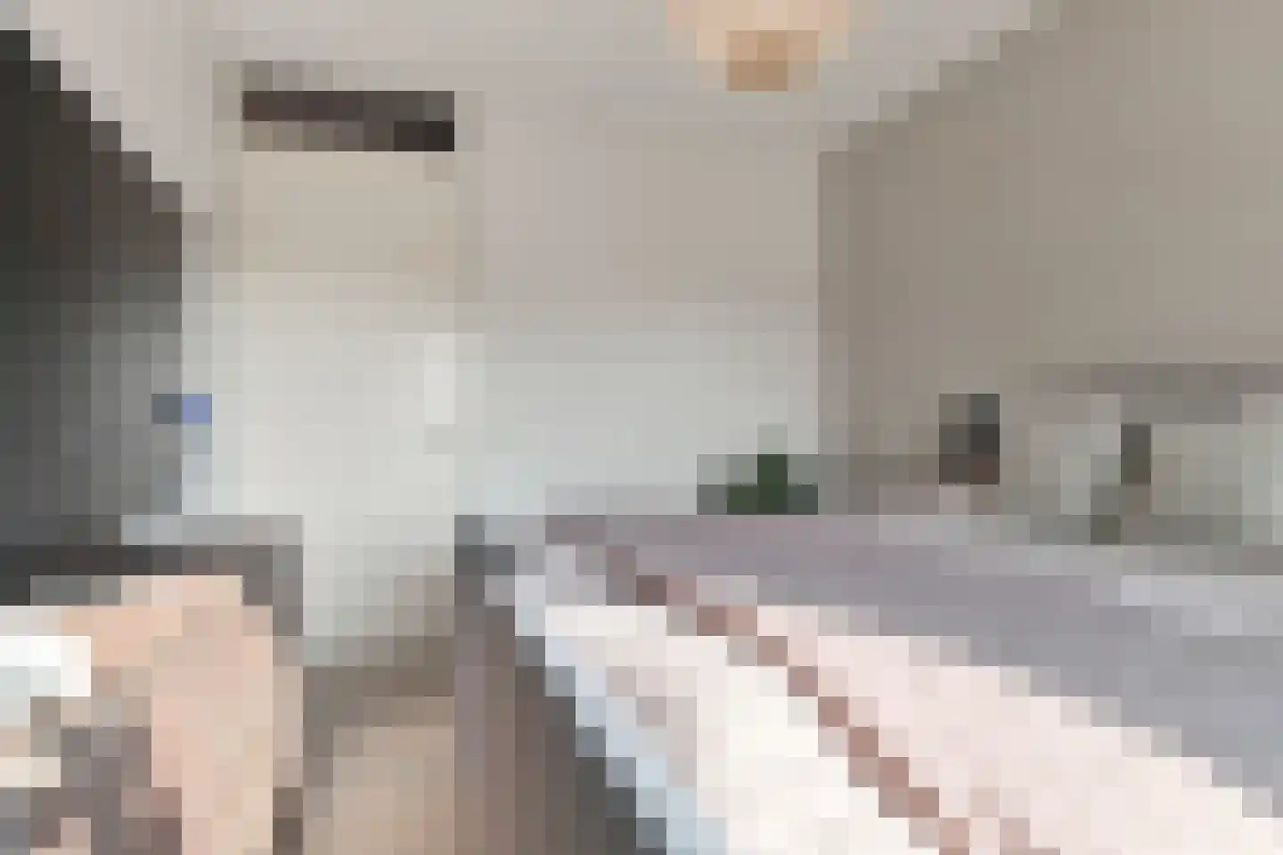Begijnenweide 126 Heemskerk thumbnail 28