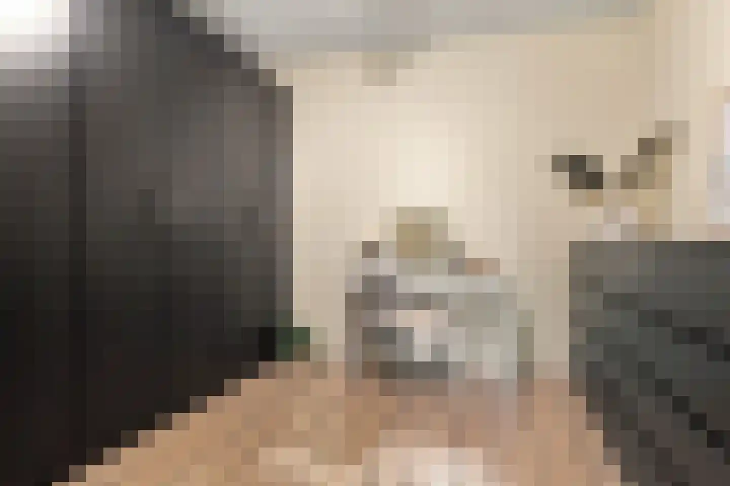 Begijnenweide 126 Heemskerk thumbnail 31