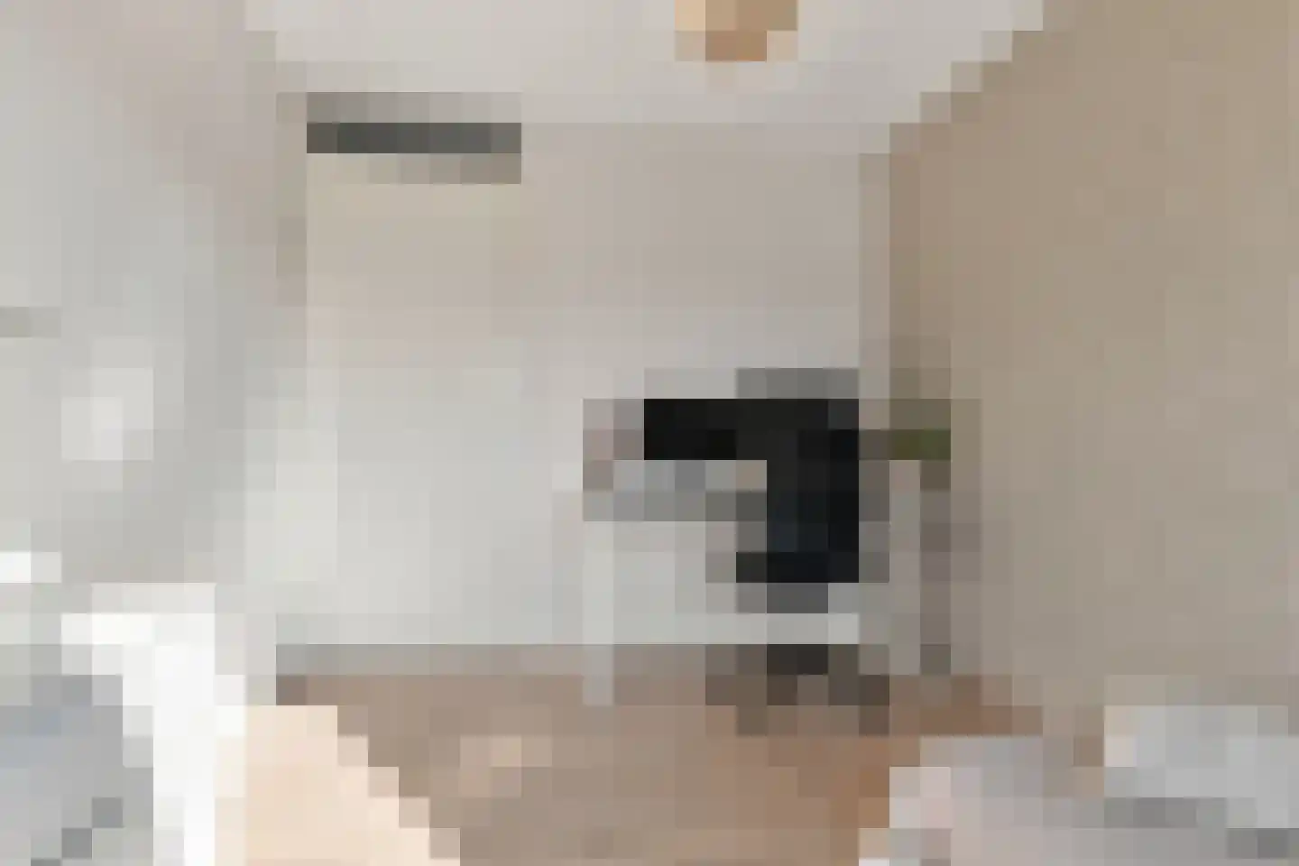 Begijnenweide 126 Heemskerk thumbnail 35