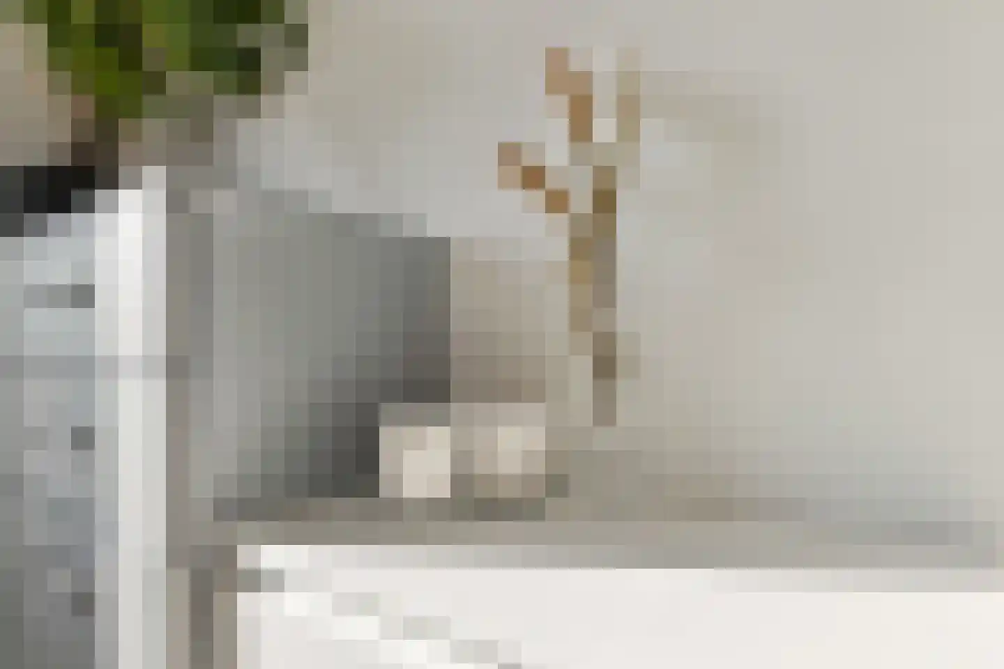 Begijnenweide 126 Heemskerk thumbnail 37