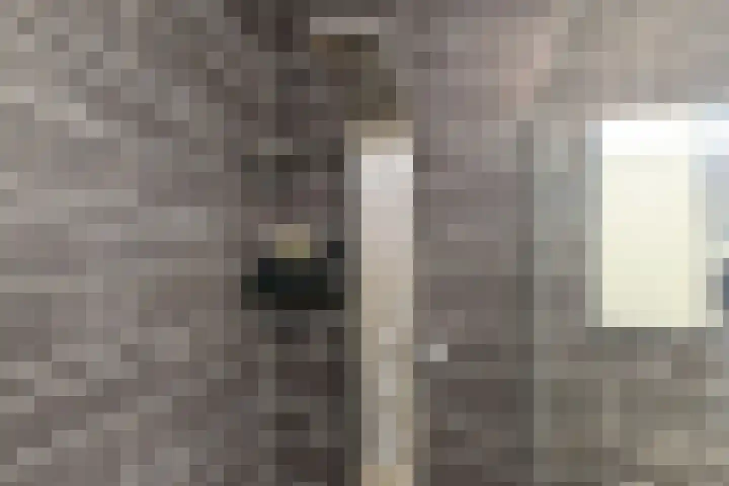 Begijnenweide 126 Heemskerk thumbnail 40