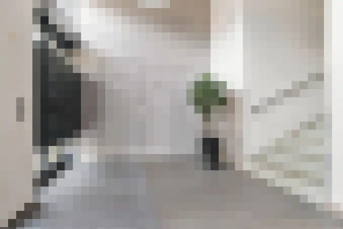 Begijnenweide 126 Heemskerk thumbnail 49