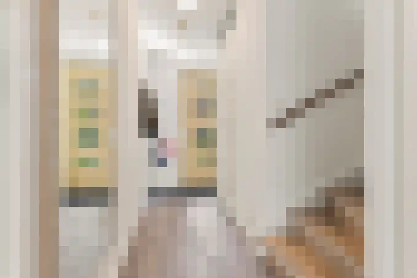 Begijnenweide 14 Heemskerk thumbnail 24