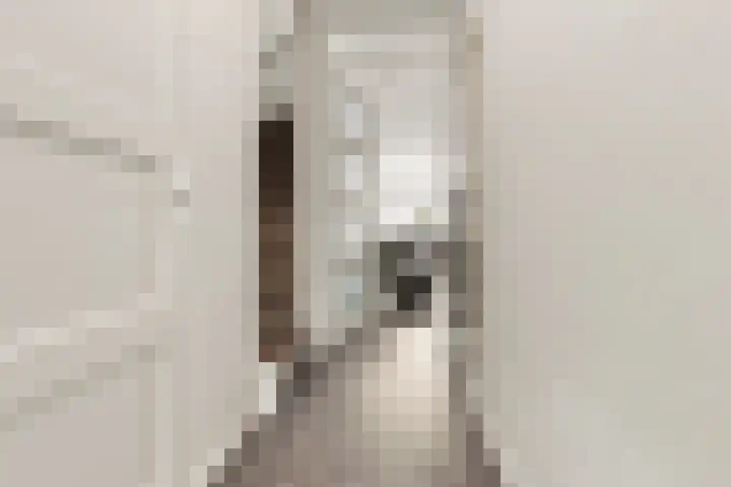 Begijnenweide 14 Heemskerk thumbnail 25