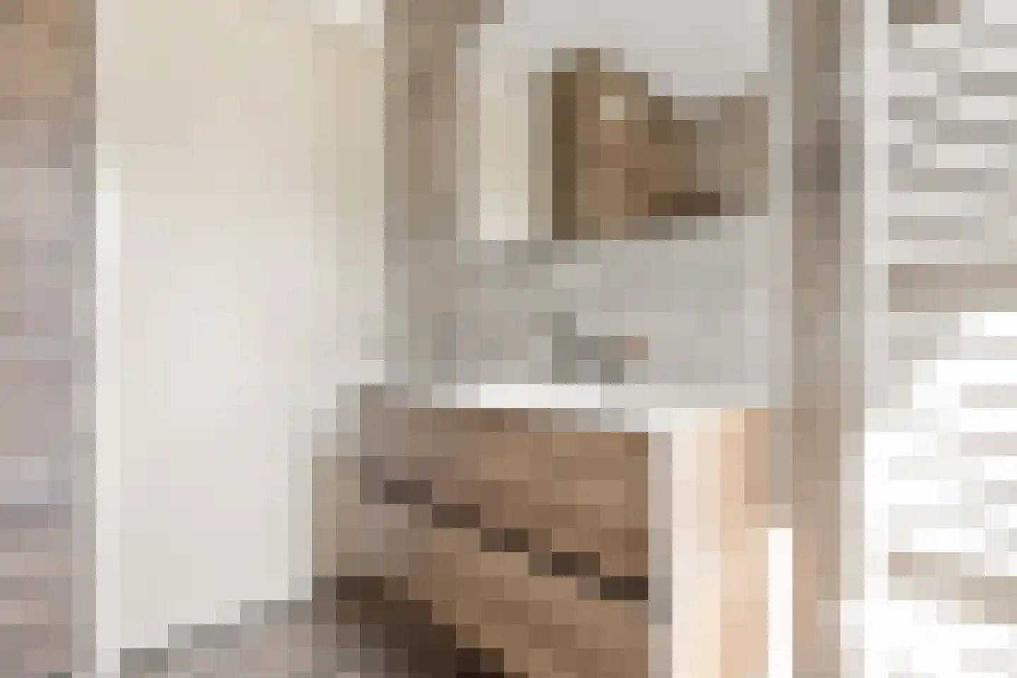 Begijnenweide 14 Heemskerk thumbnail 36