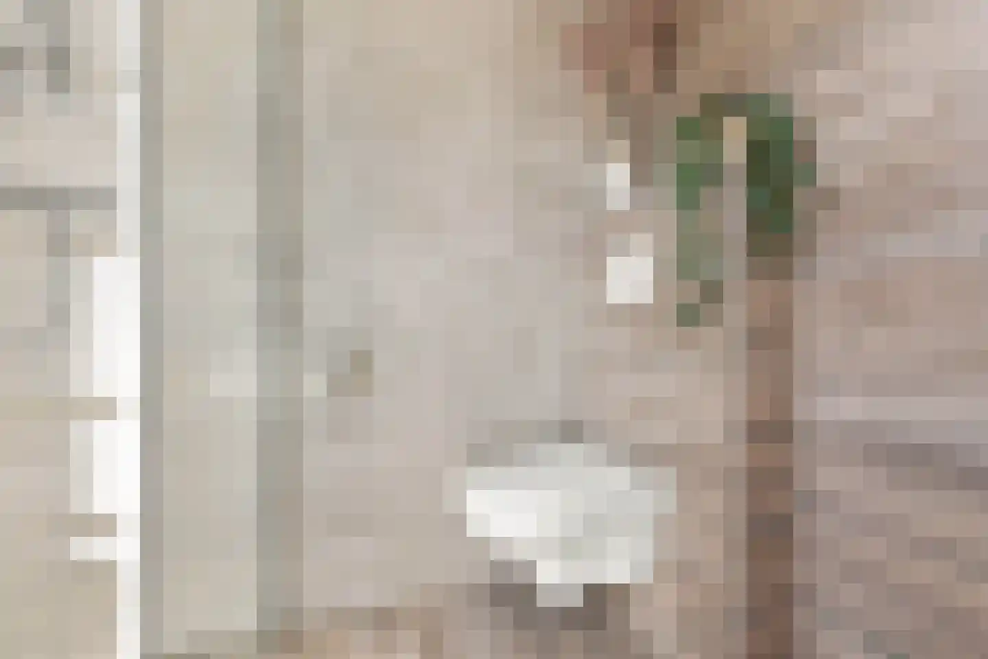 Begijnenweide 14 Heemskerk thumbnail 37