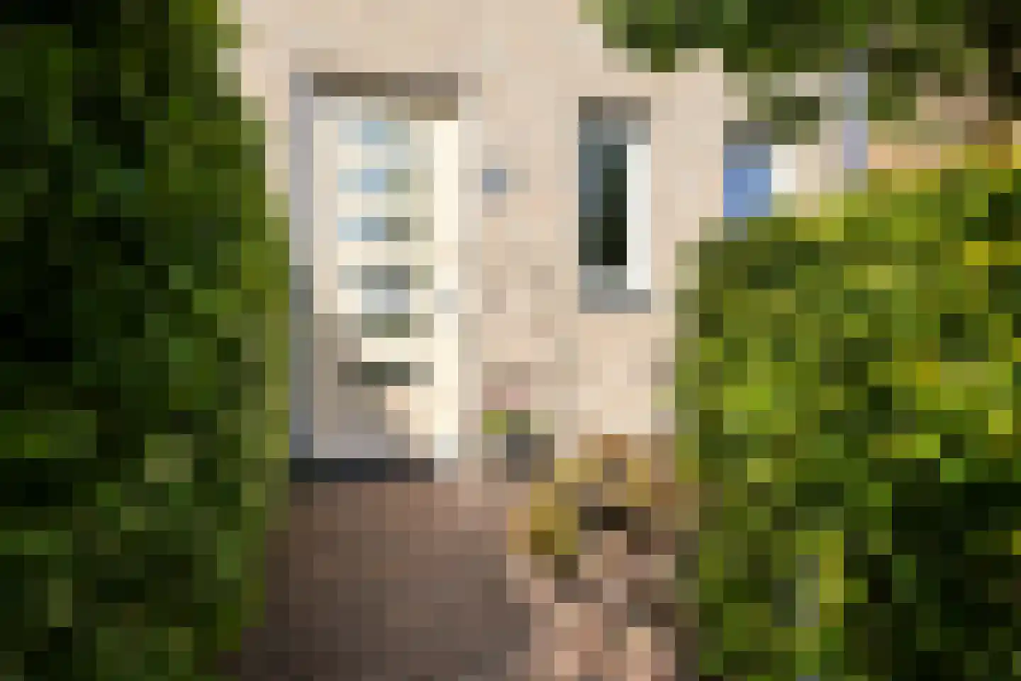 Begijnenweide 14 Heemskerk thumbnail 47