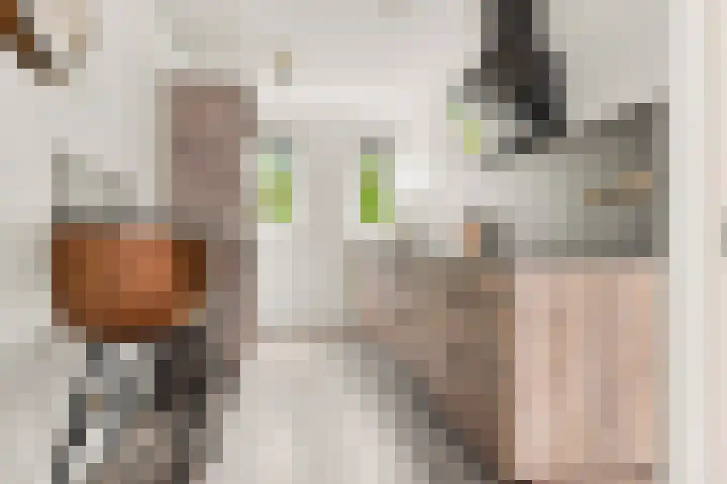 Begijnenweide 14 Heemskerk thumbnail 7