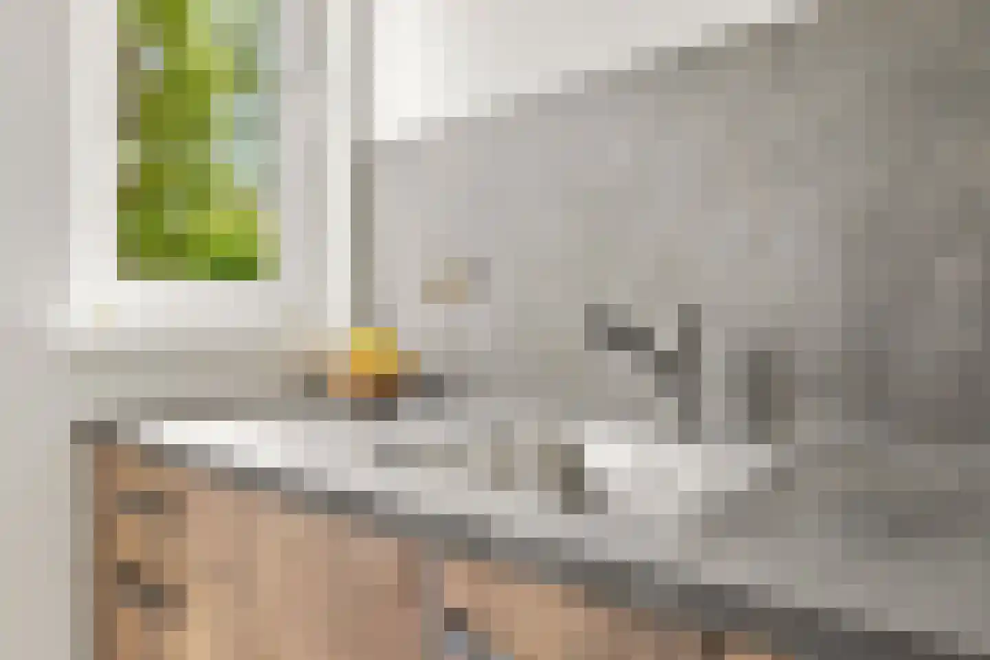 Begijnenweide 14 Heemskerk thumbnail 9