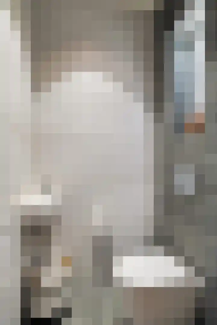 Begijnenweide 23 Heemskerk thumbnail 12