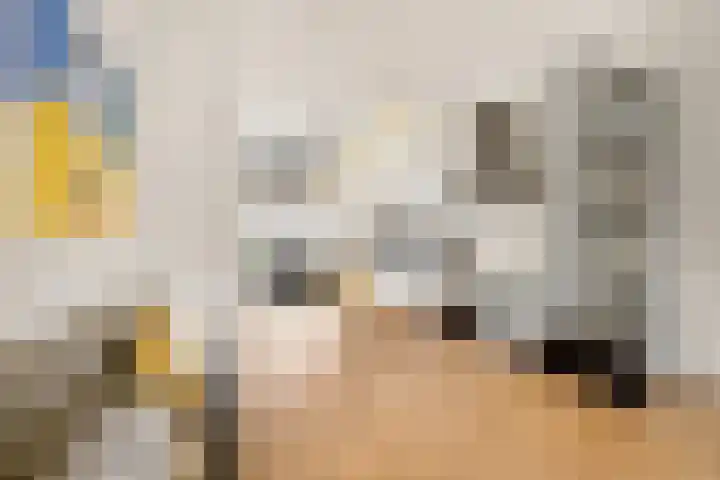 Begijnenweide 23 Heemskerk thumbnail 14