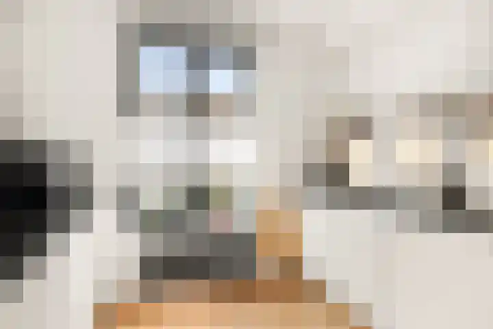 Begijnenweide 23 Heemskerk thumbnail 18