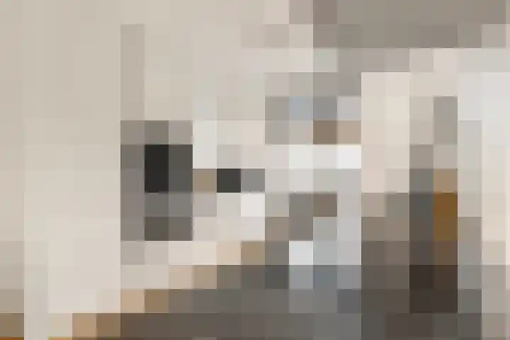 Begijnenweide 23 Heemskerk thumbnail 19