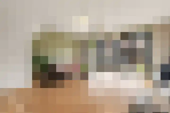 Begijnenweide 23 Heemskerk thumbnail 20