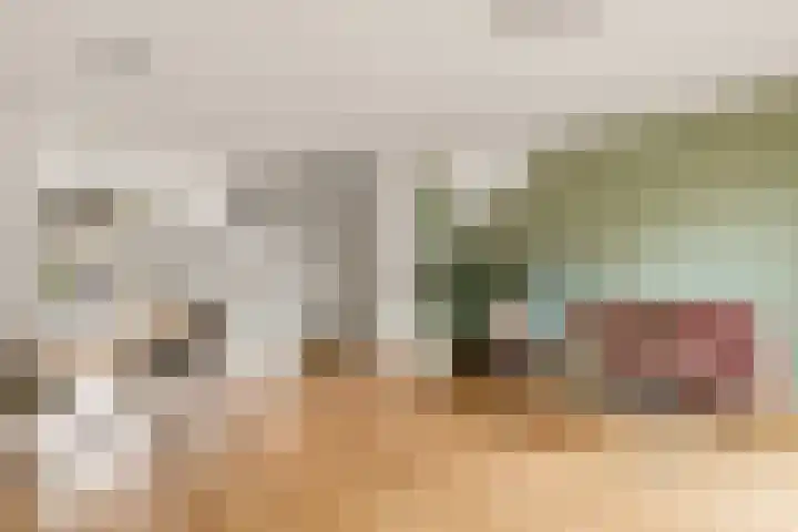 Begijnenweide 23 Heemskerk thumbnail 21