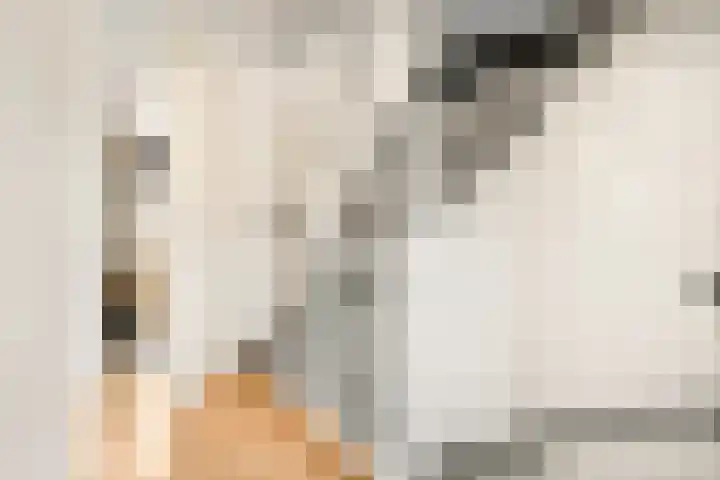 Begijnenweide 23 Heemskerk thumbnail 24