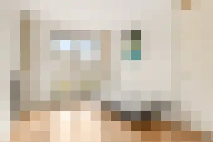 Begijnenweide 23 Heemskerk thumbnail 28