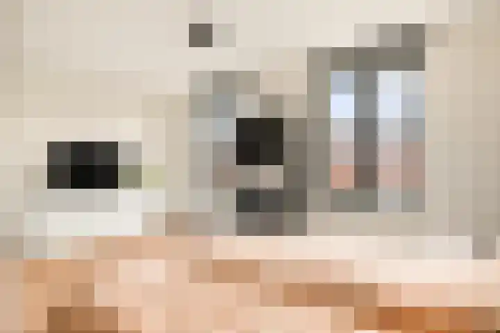 Begijnenweide 23 Heemskerk thumbnail 32