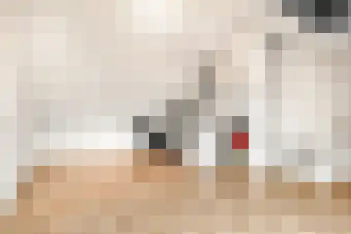Begijnenweide 23 Heemskerk thumbnail 35