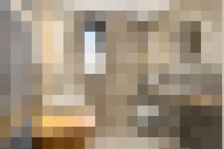 Begijnenweide 23 Heemskerk thumbnail 4