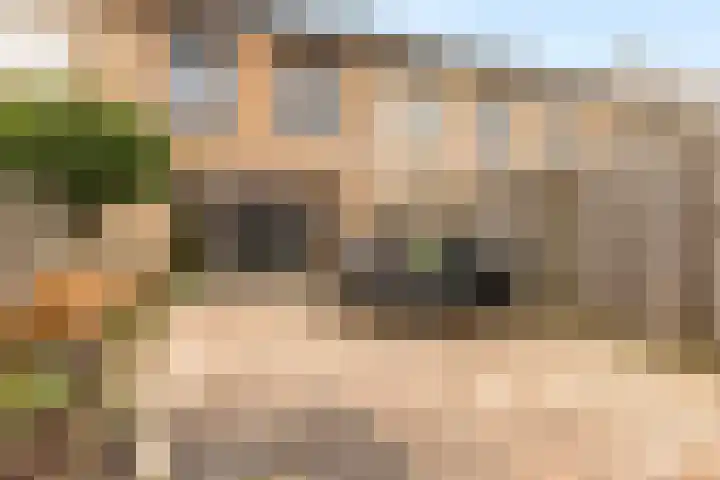 Begijnenweide 23 Heemskerk thumbnail 40