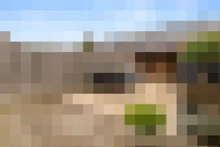Begijnenweide 23 Heemskerk thumbnail 43