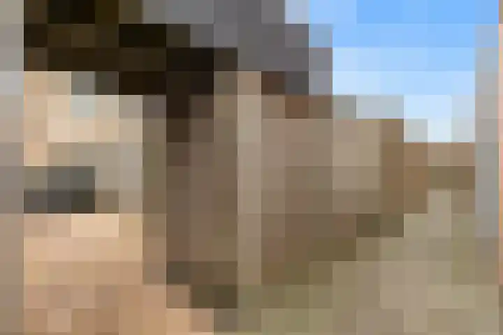 Begijnenweide 23 Heemskerk thumbnail 44