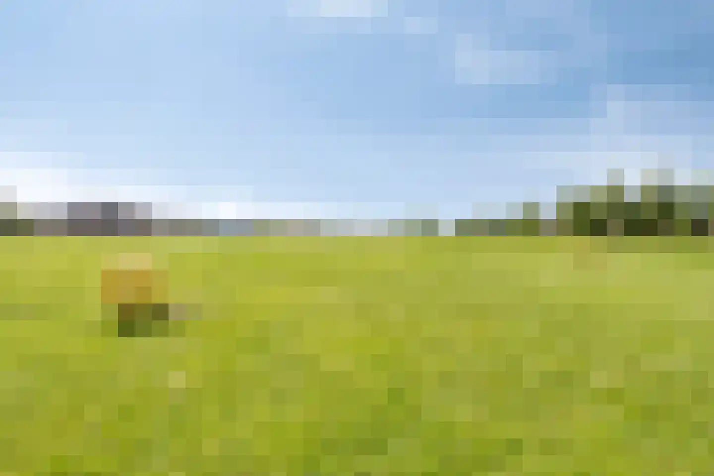 Begijnenweide 78 Heemskerk thumbnail 31