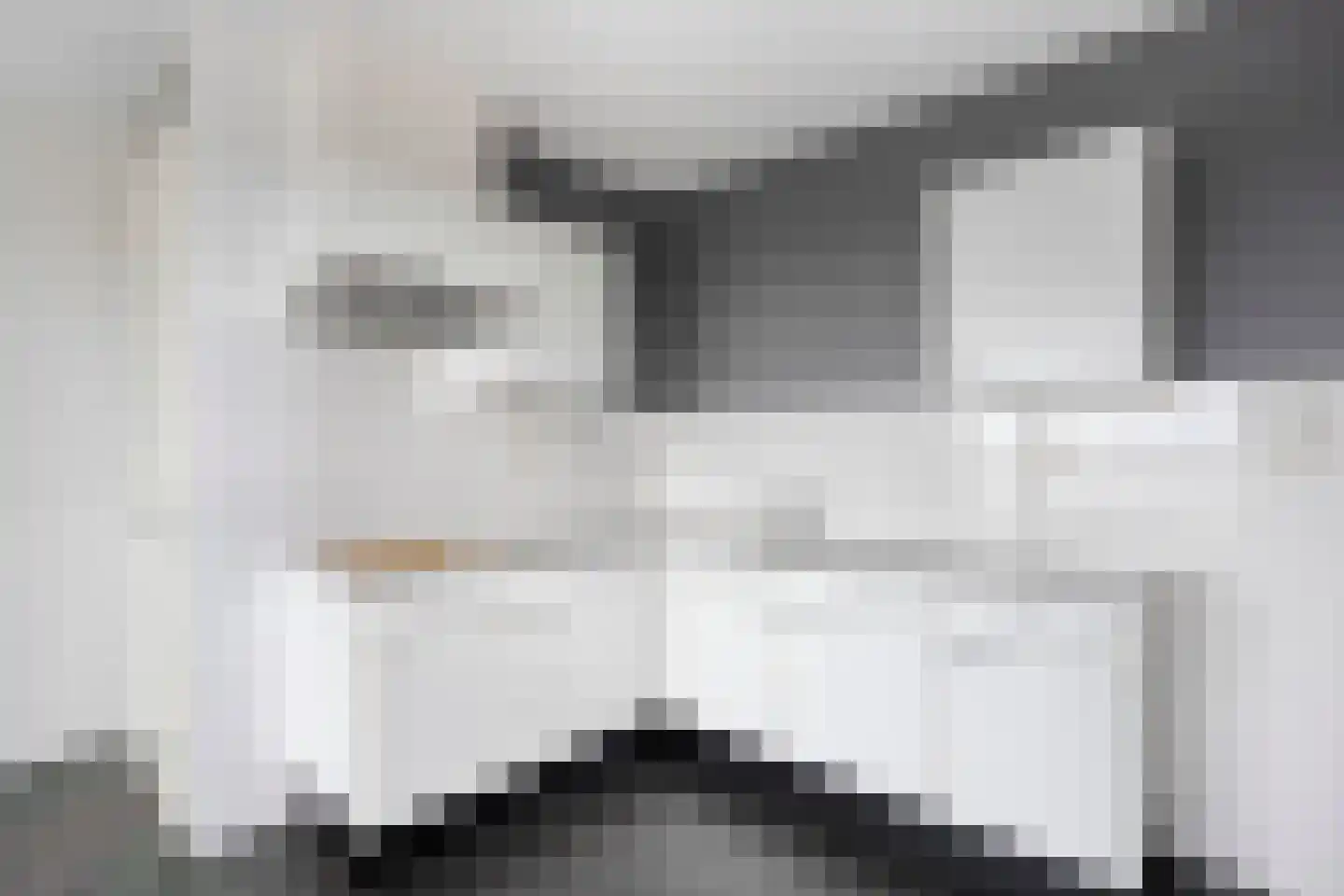 Begijnenweide 78 Heemskerk thumbnail 7