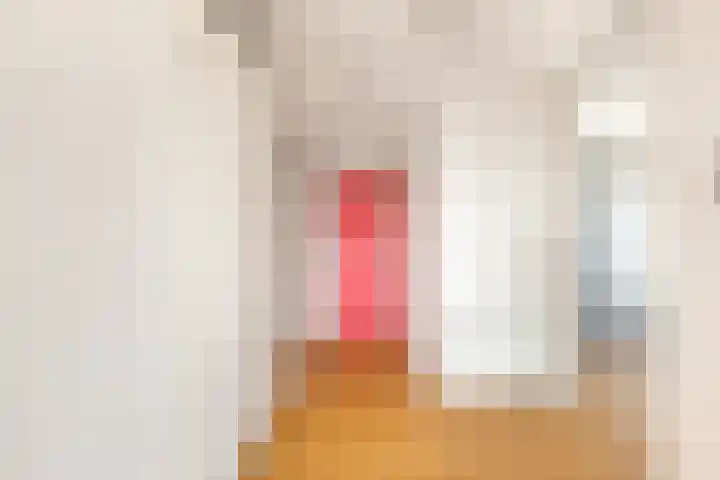 Begijnenweide 84 Heemskerk thumbnail 10