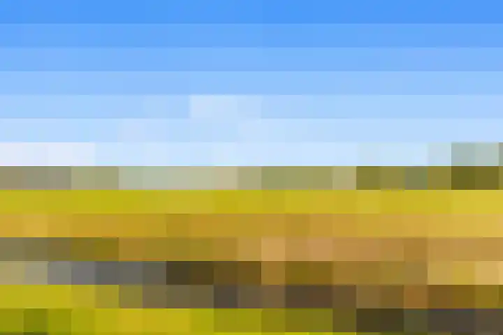 Begijnenweide 84 Heemskerk thumbnail 19