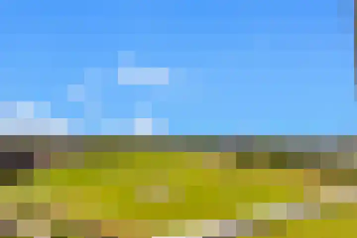Begijnenweide 84 Heemskerk thumbnail 5